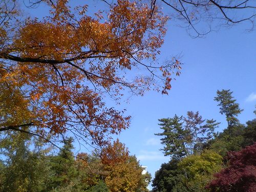 e0119017_0452932.jpg