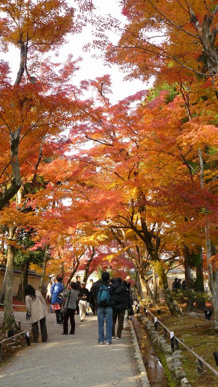 天龍寺　宝厳院　(嵐山）_f0004019_23201410.jpg