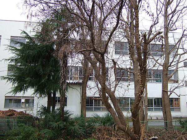 f0143119_2054502.jpg