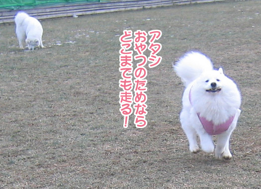 a0044521_0344765.jpg