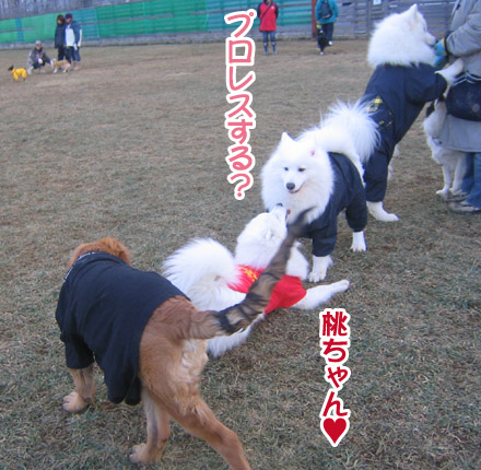 a0044521_0402535.jpg