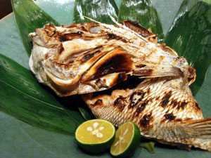 c0009224_7264860.jpg