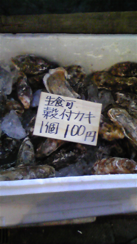 e0019225_2291512.jpg