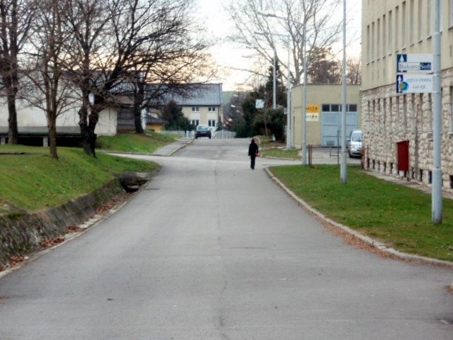 e0059726_5335998.jpg