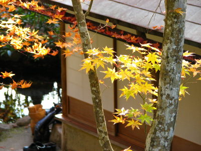 f0054428_23243813.jpg
