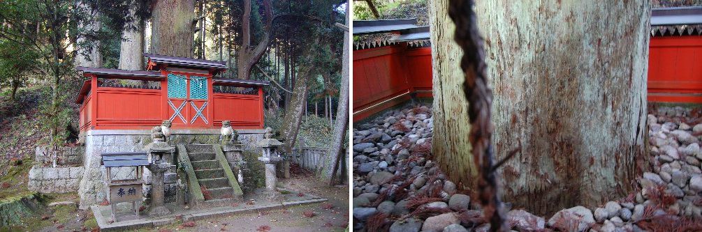 倉橋山・談山神社探訪（07.12.06）⑦天一神社・・・_a0016431_1321830.jpg