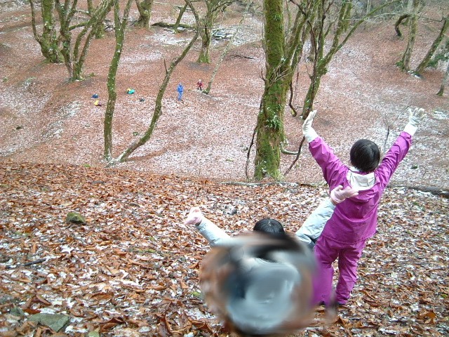 初冬の芦生はナメコの森でした_c0097754_12234645.jpg