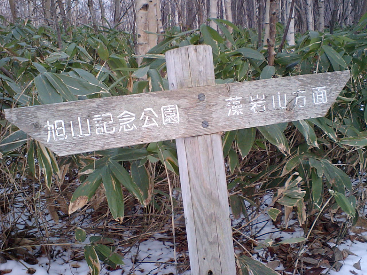 d0098665_1833720.jpg