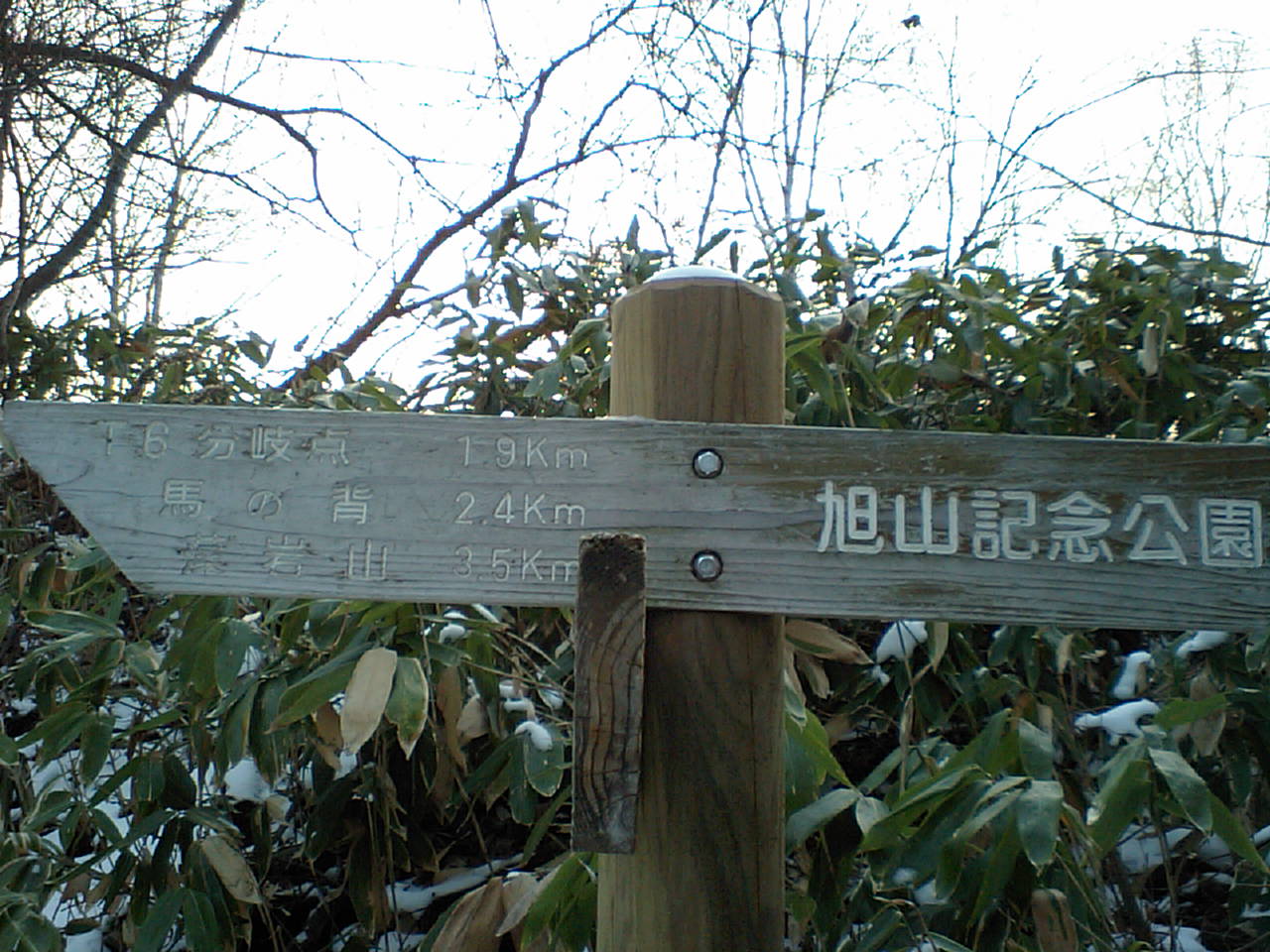 d0098665_18345321.jpg