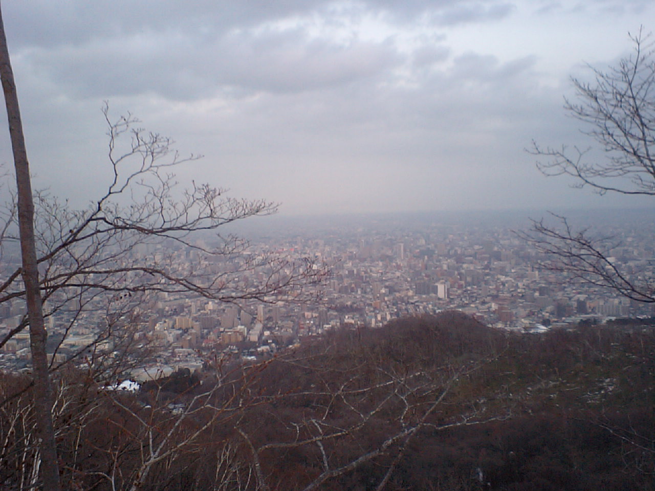 d0098665_18364687.jpg