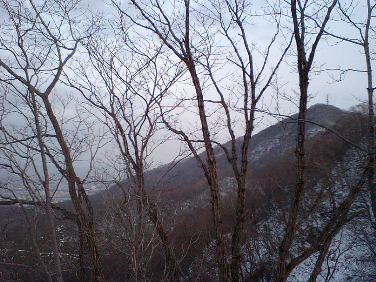 d0098665_18373886.jpg