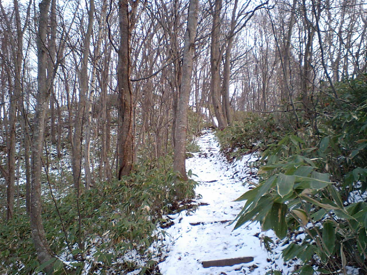 d0098665_1846568.jpg