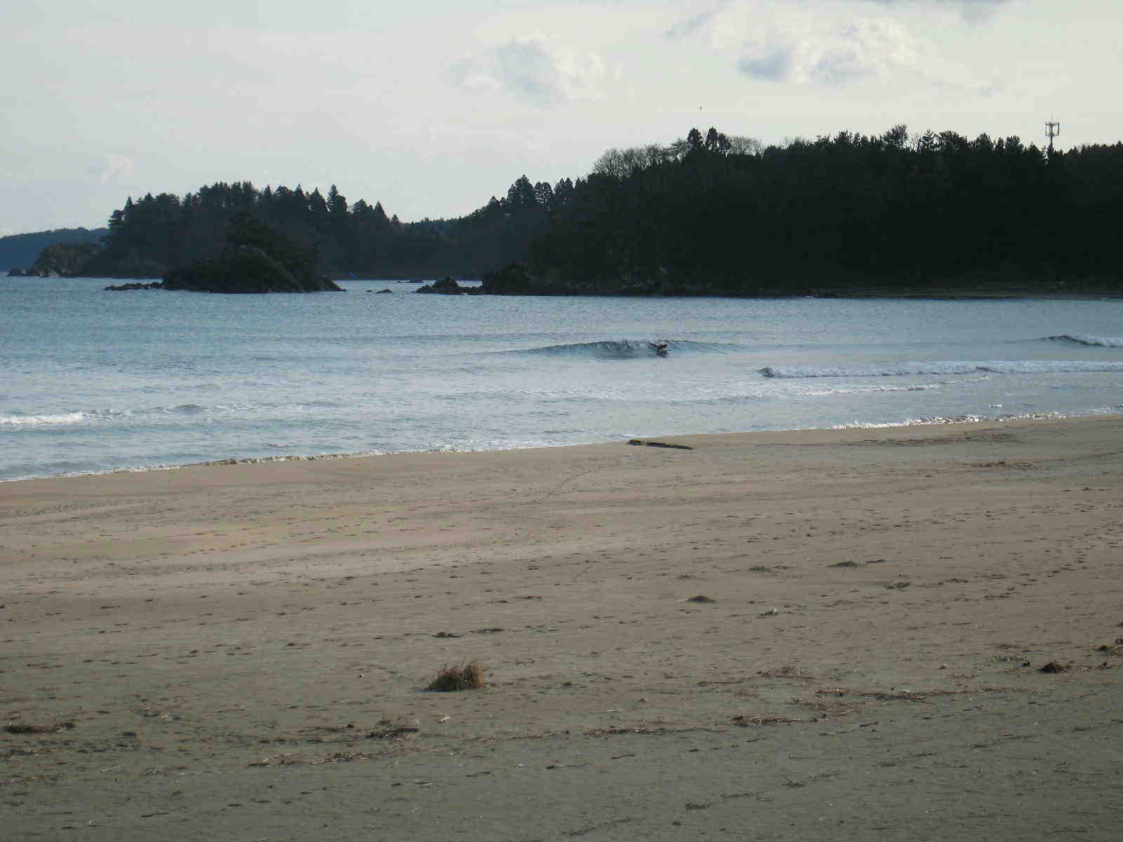 d0085470_18503799.jpg