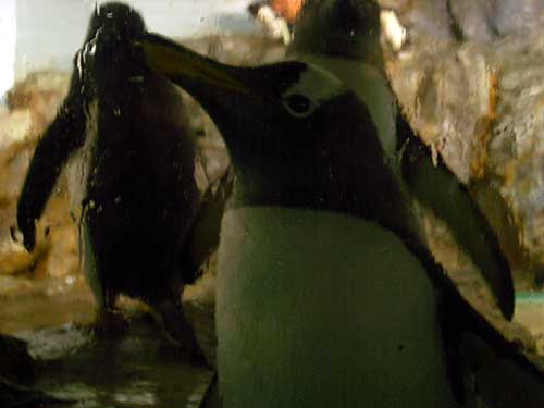 f0007676_1220470.jpg