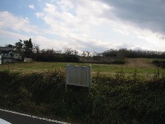 a0087378_4113179.jpg