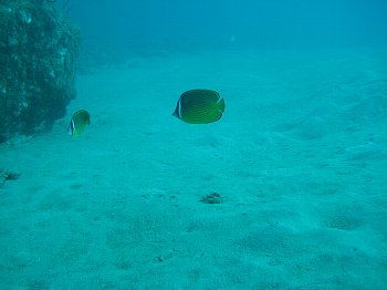 f0079996_14173123.jpg