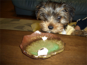 c0143711_0133616.gif