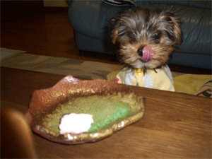c0143711_0134897.gif
