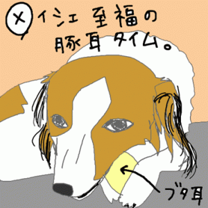 c0065512_941814.gif