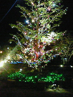 e0076814_22141947.jpg