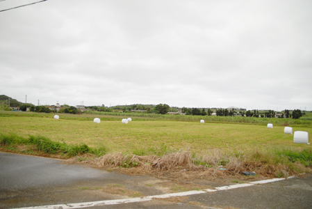 d0112024_1549281.jpg