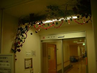 小児科病棟の飾りつけ2007_c0102228_2026926.jpg