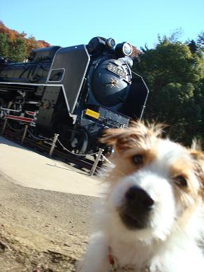 犬とトレッキングと芸術_c0099133_0195197.jpg