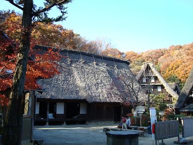 犬とトレッキングと芸術_c0099133_135721.jpg