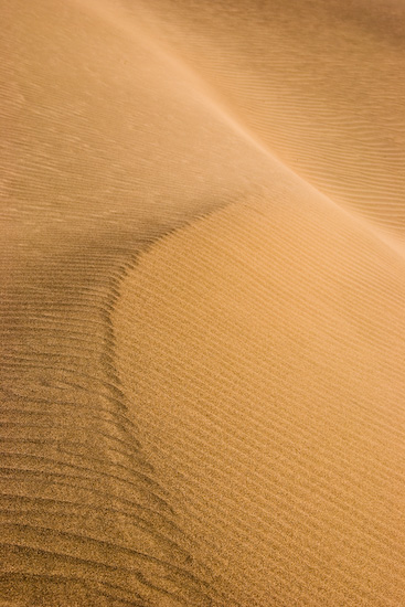c0157739_43362.jpg