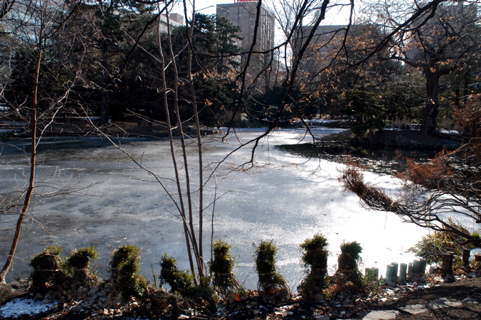 北海道庁周辺_f0054539_2222680.jpg