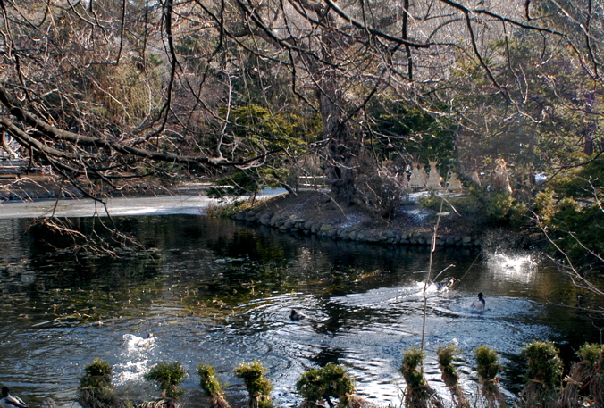 北海道庁周辺_f0054539_2225344.jpg