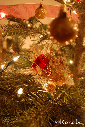 Sapin de Noel_f0099556_203669.jpg