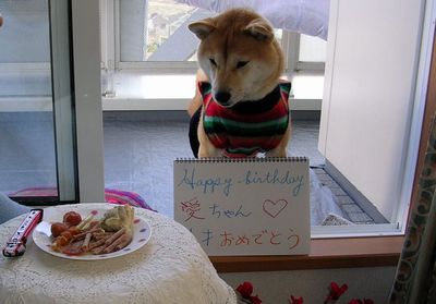 2007年12月13日(木)4歳になった愛ちゃん!_f0060461_13105883.jpg