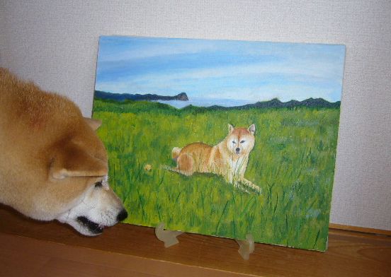 2007年12月13日(木)4歳になった愛ちゃん!_f0060461_14492748.jpg