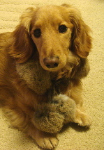 f0089568_22255840.jpg