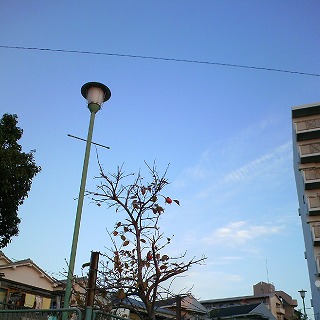 e0081772_9442094.jpg