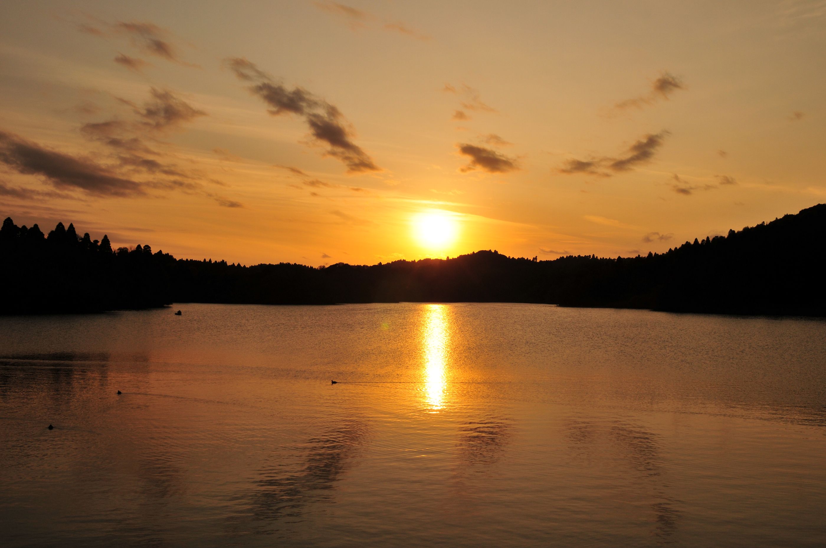 e0071178_4504391.jpg