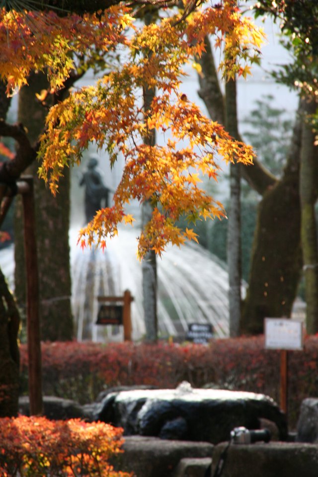 岐阜公園の紅葉_a0060882_7242581.jpg