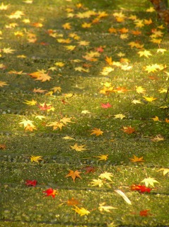 c0081883_23285434.jpg