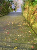 c0081883_23293498.jpg