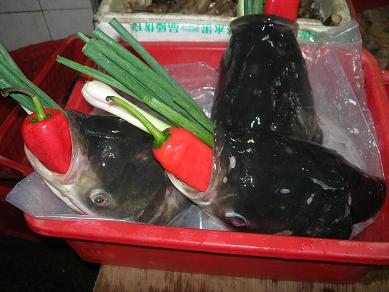 c0011501_2113886.jpg