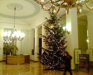 f0021504_4463246.jpg