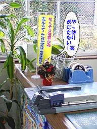 c0145106_1744518.jpg