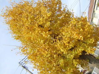 a0047209_0243831.jpg