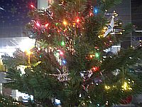 e0114015_15535578.jpg