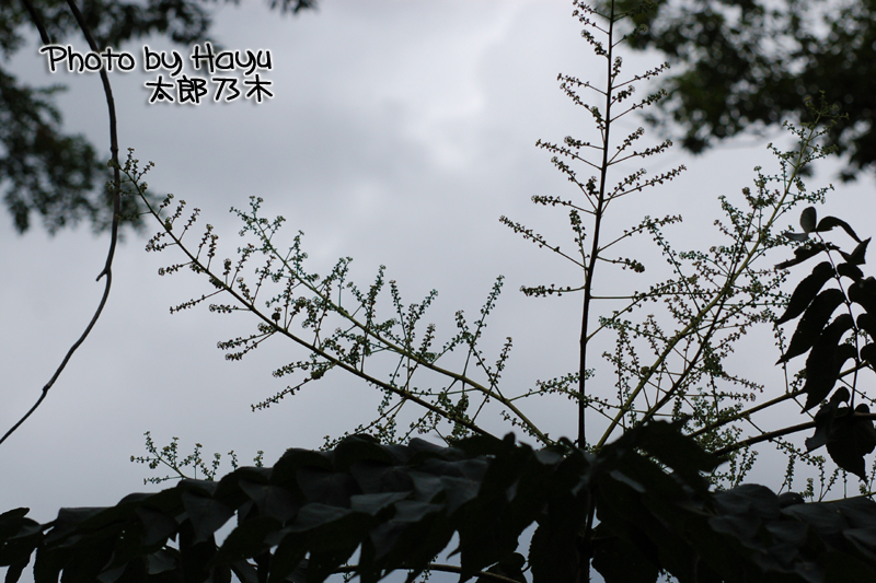 a0059328_22125655.jpg