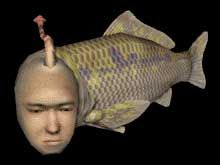 人面魚 ユウブロ 早稲田を目指そう 人面魚 ユウブロ 早稲田を目指そう