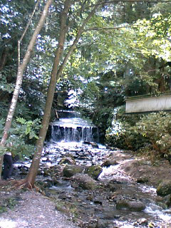 f0038336_22404618.jpg
