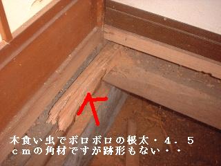 f0031037_1716486.jpg