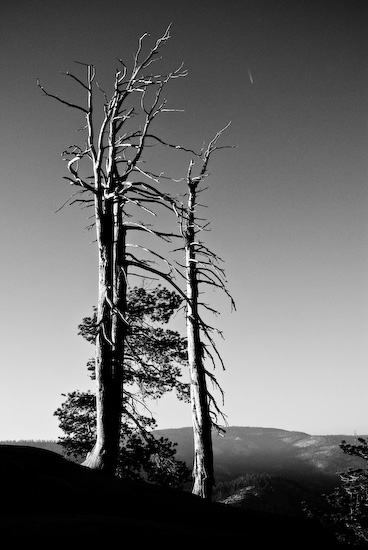 c0157739_6504475.jpg